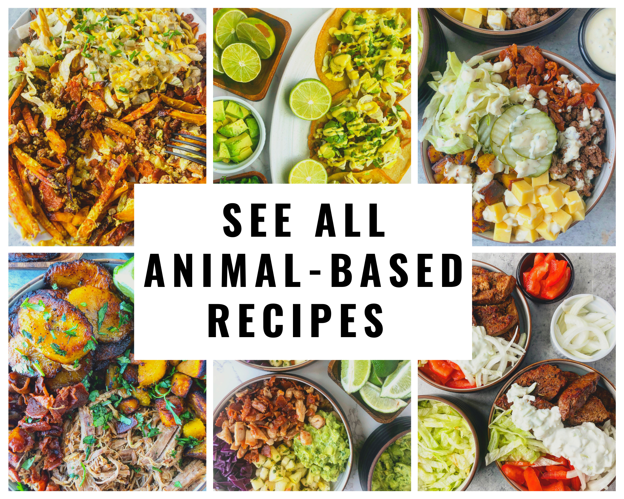 animal based food ideas