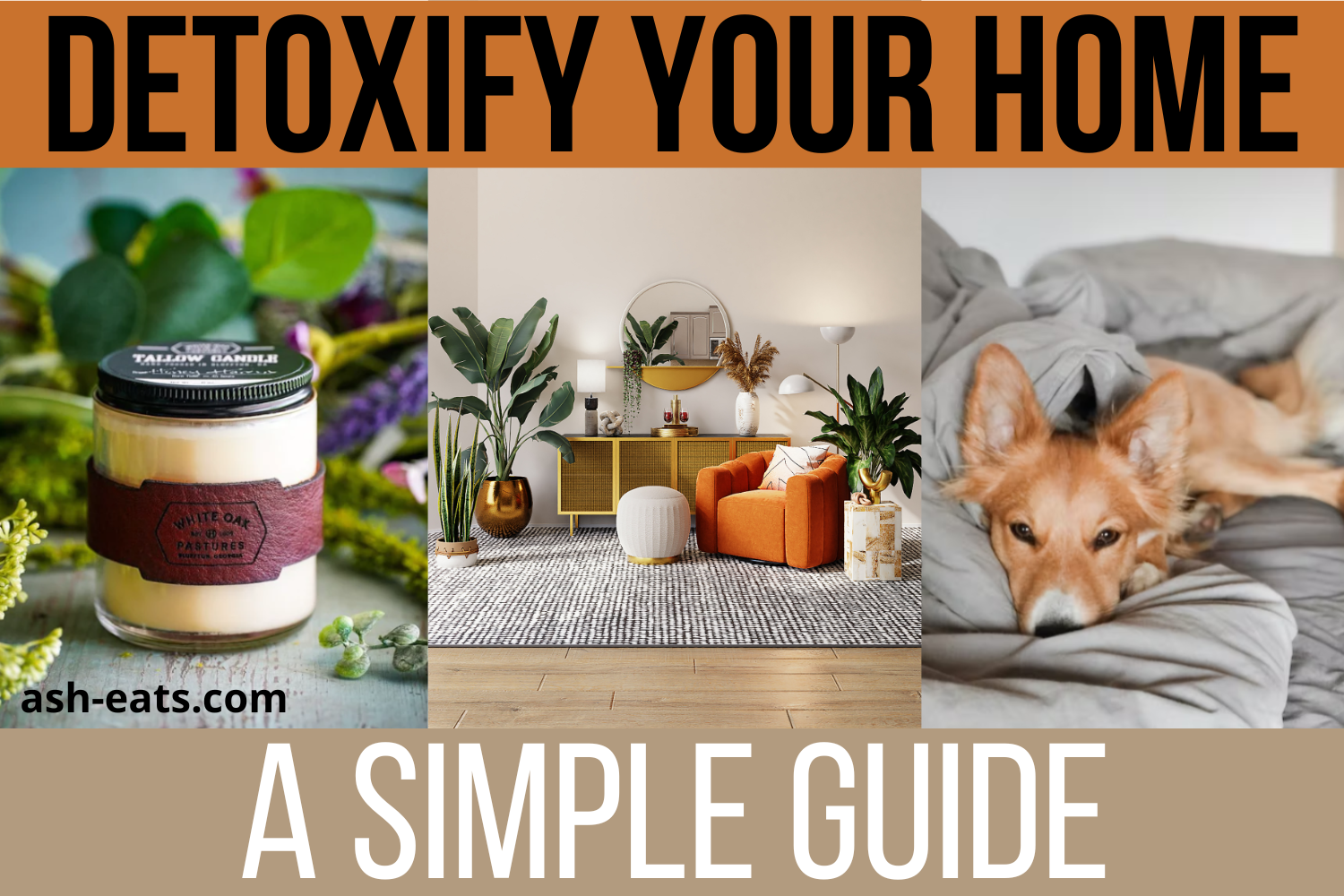 detoxify your home