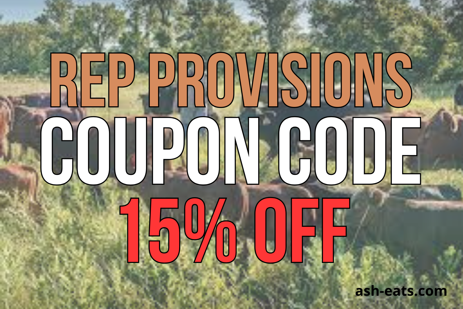 rep provisions coupon code