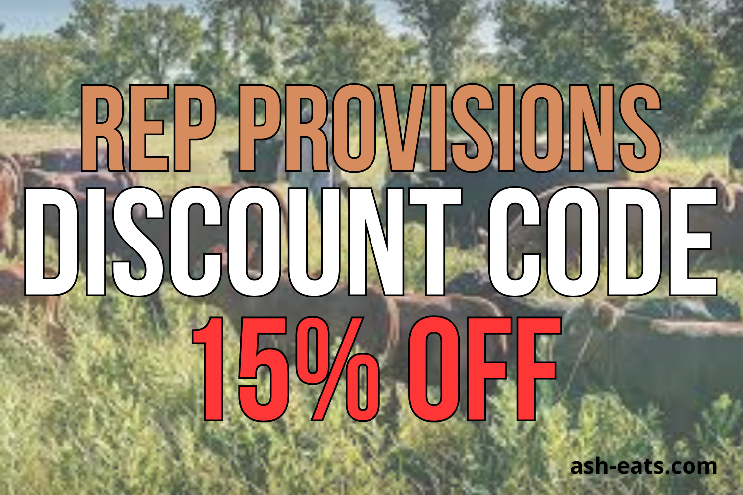 rep provisions discount code