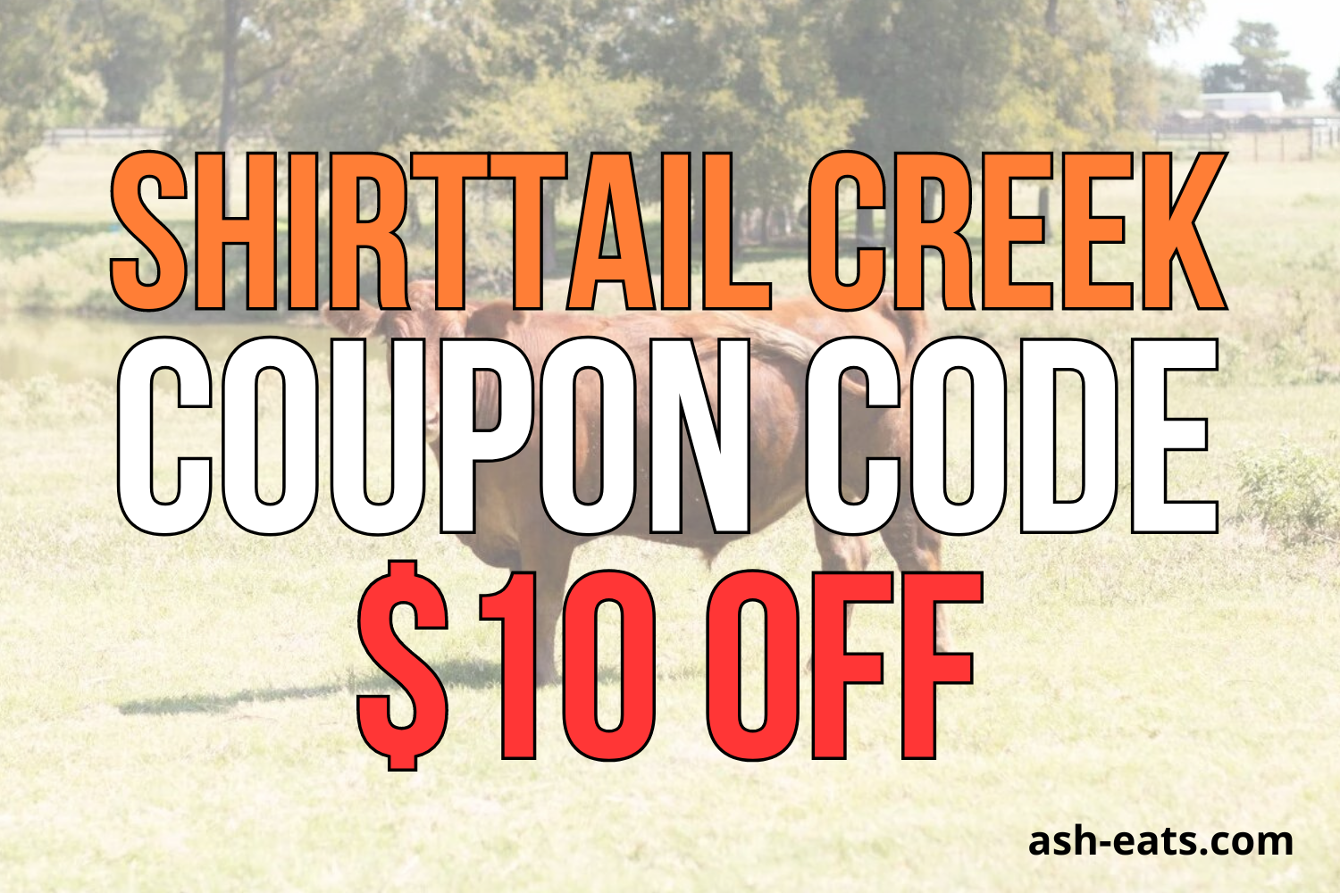 shirttail creek coupon code