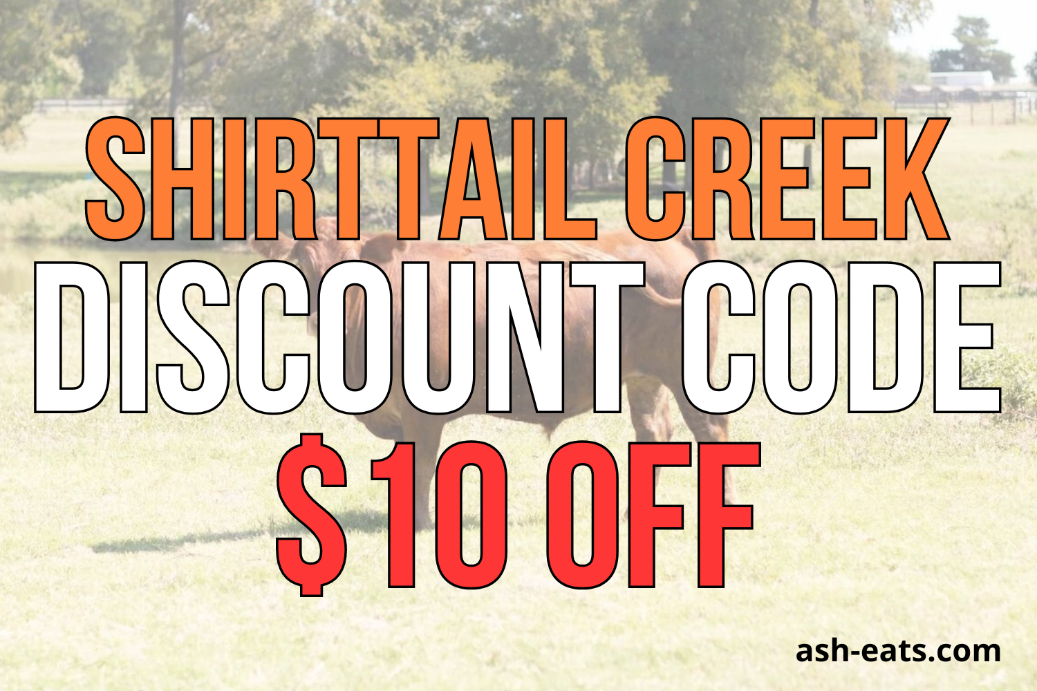 shirttail creek discount code