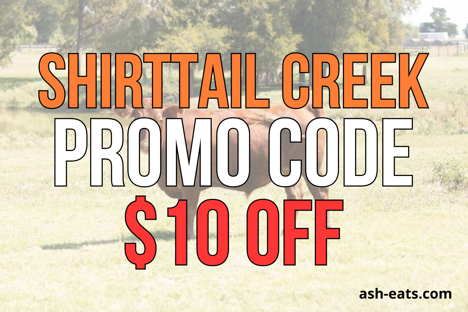 shirttail creek promo code