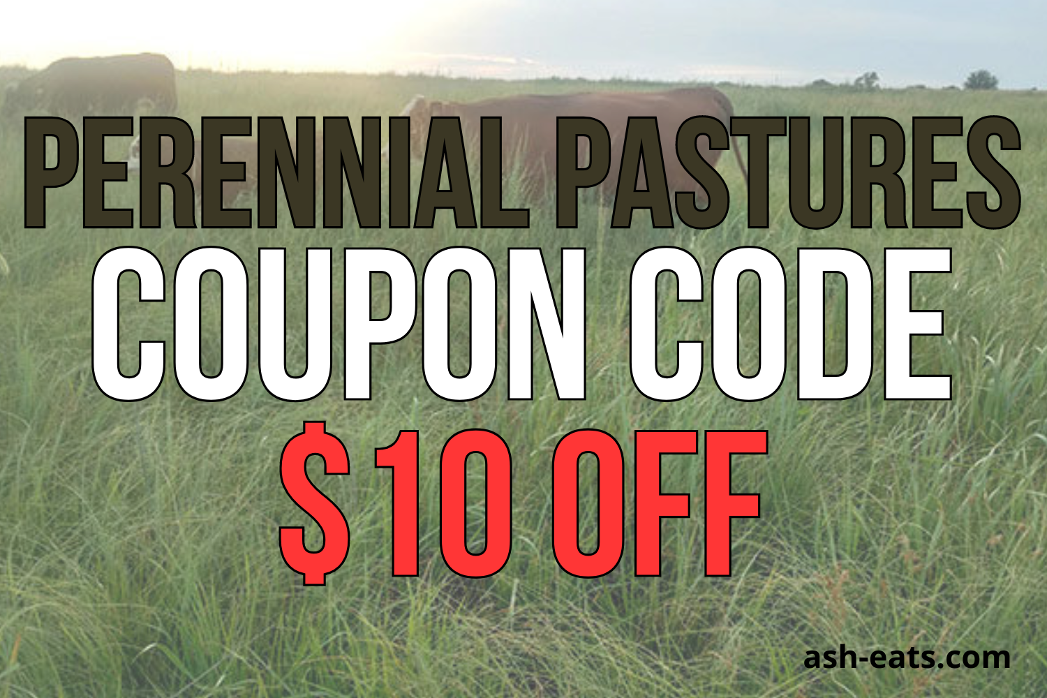 perennial pastures ranch coupon code