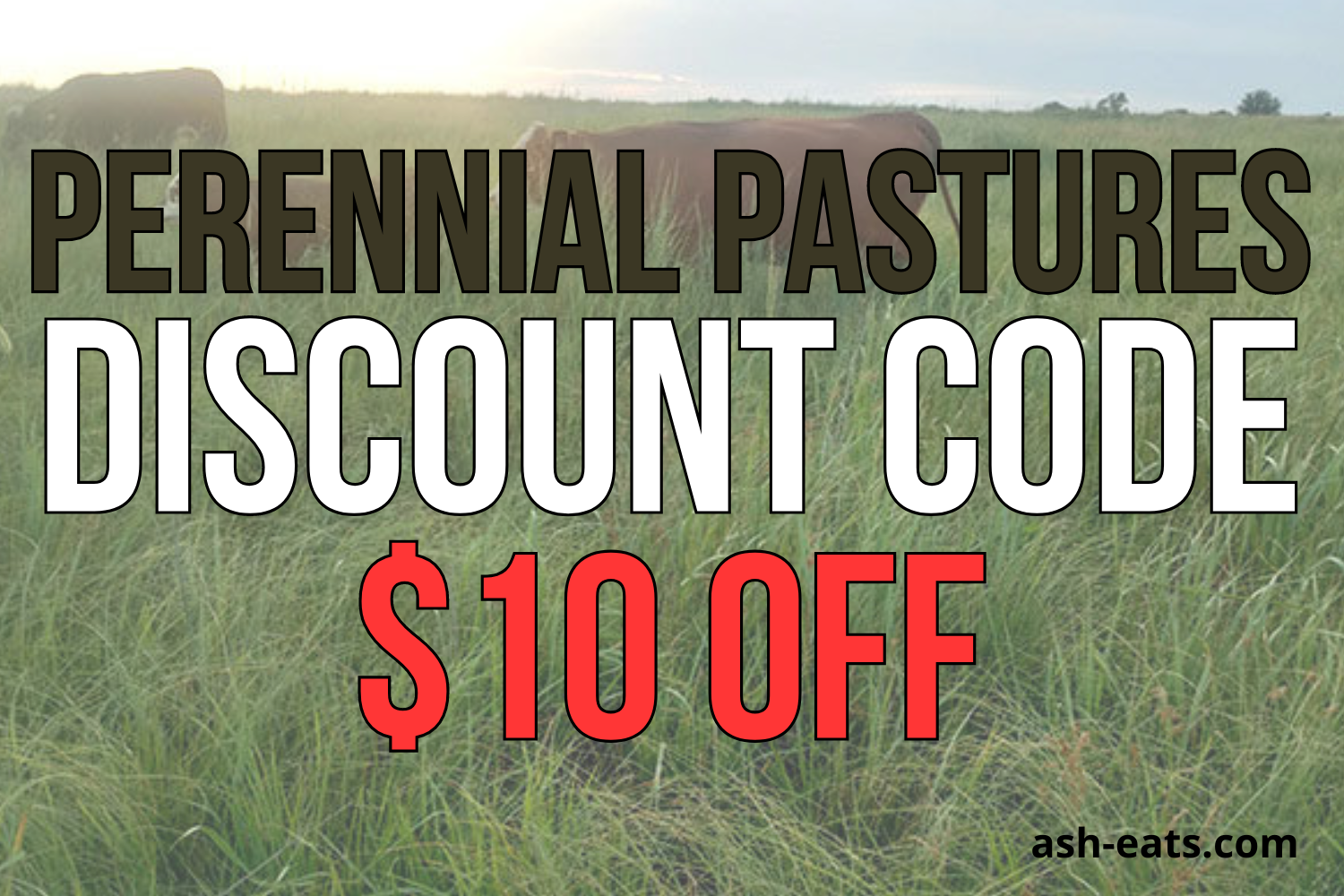 perennial pastures ranch discount code
