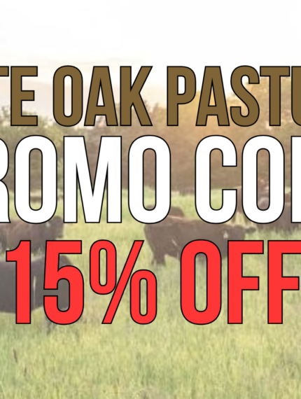 ASHLEYR for 15% Off White Oak Pastures: Promo Code