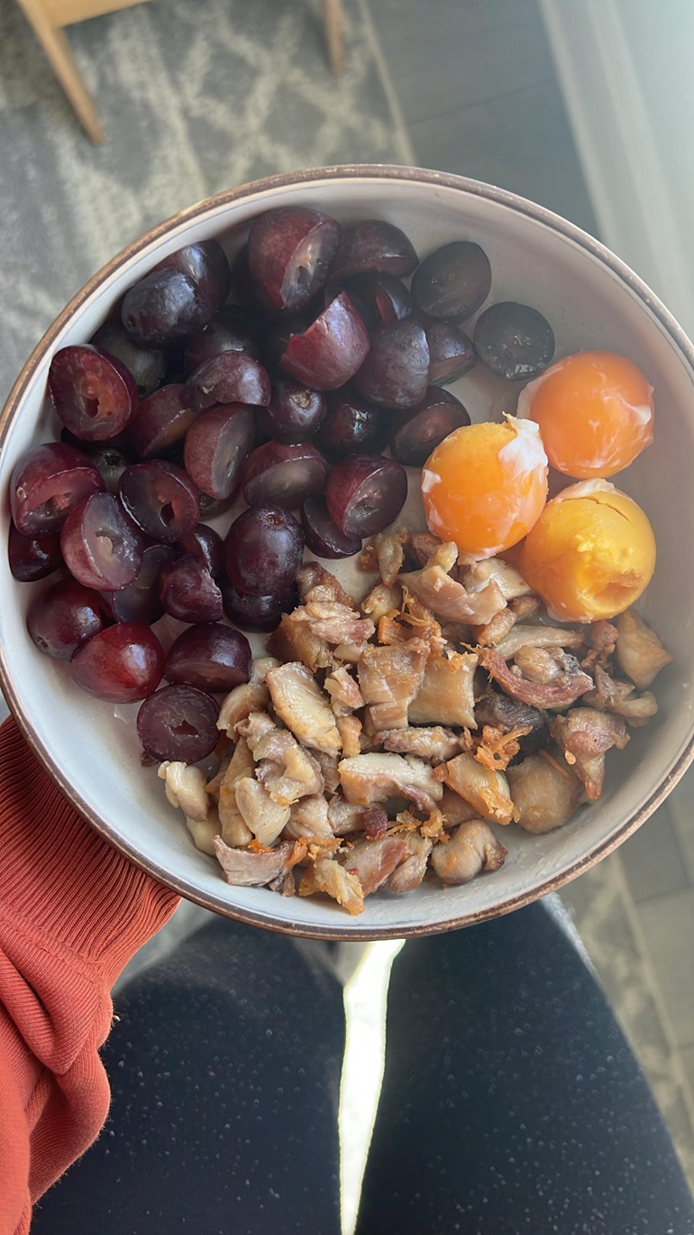 animal-based pregnancy