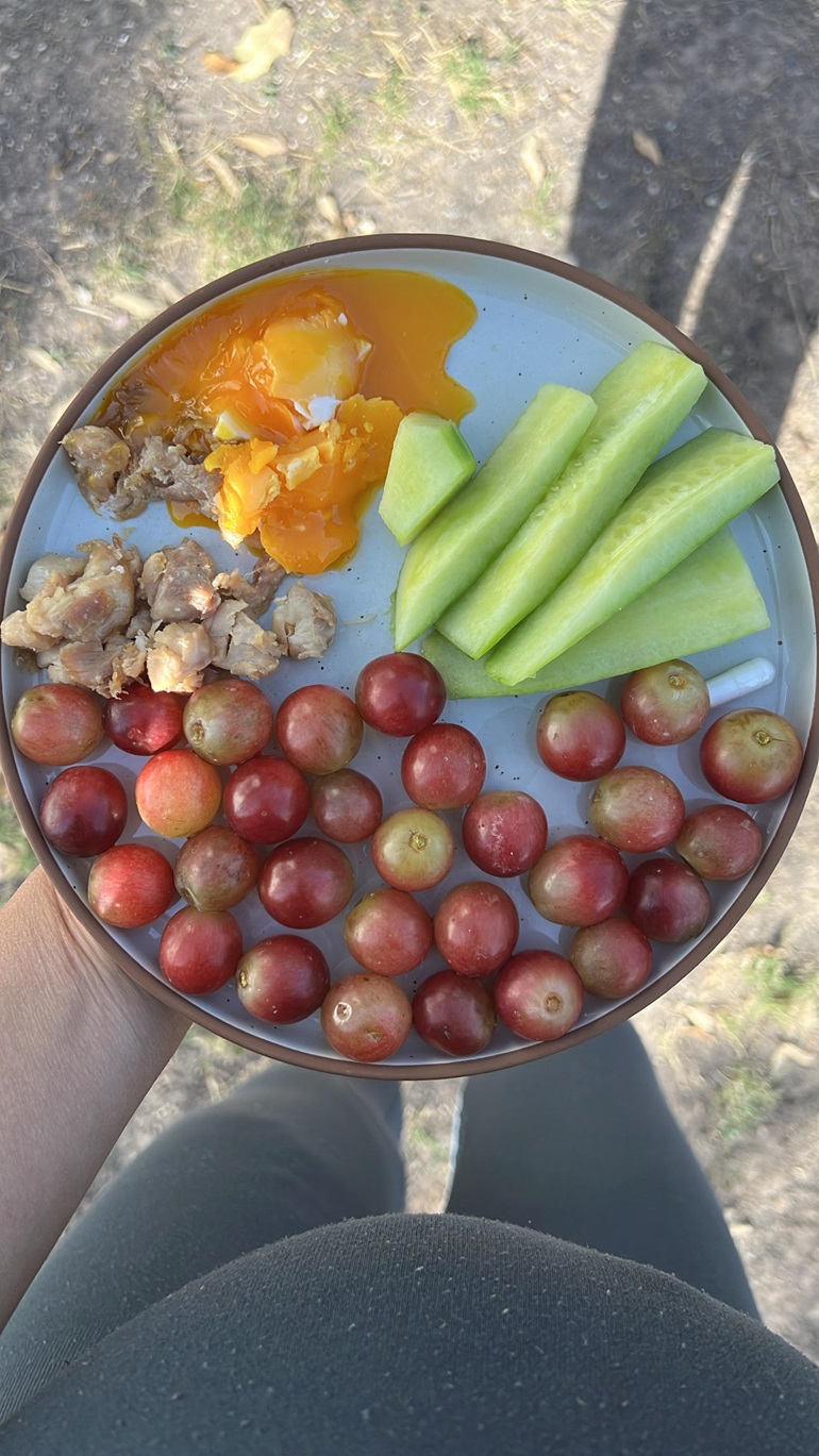 animal-based pregnancy