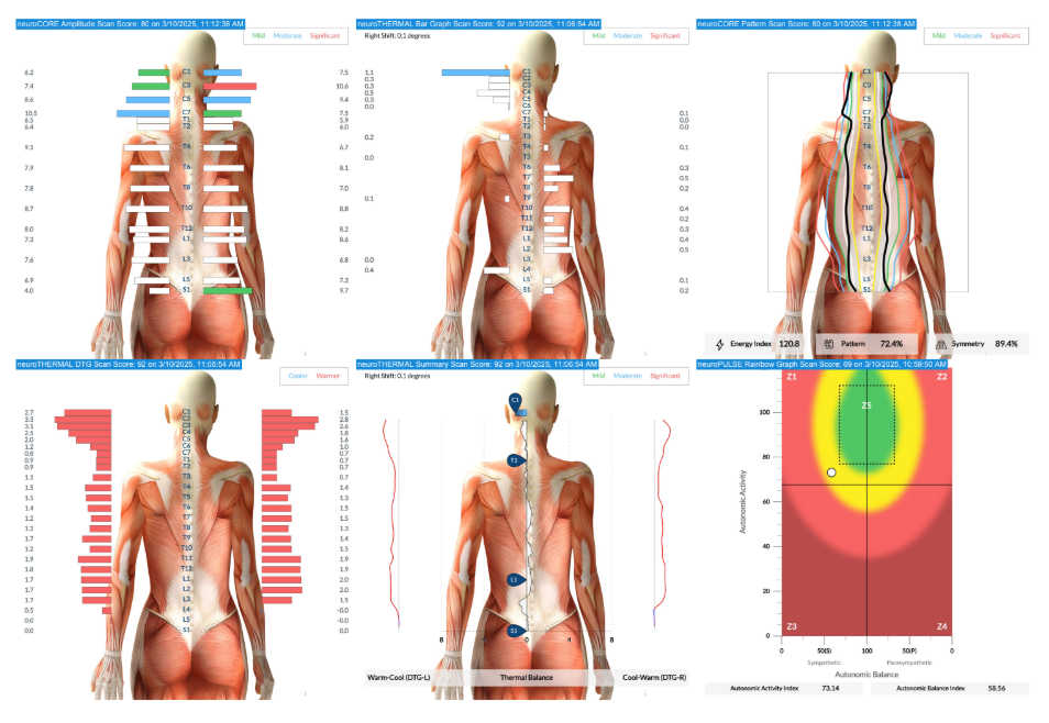 animal-based pregnancy