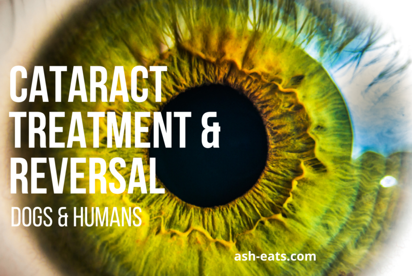 Cataract Treatment & Reversal: Dogs & Humans
