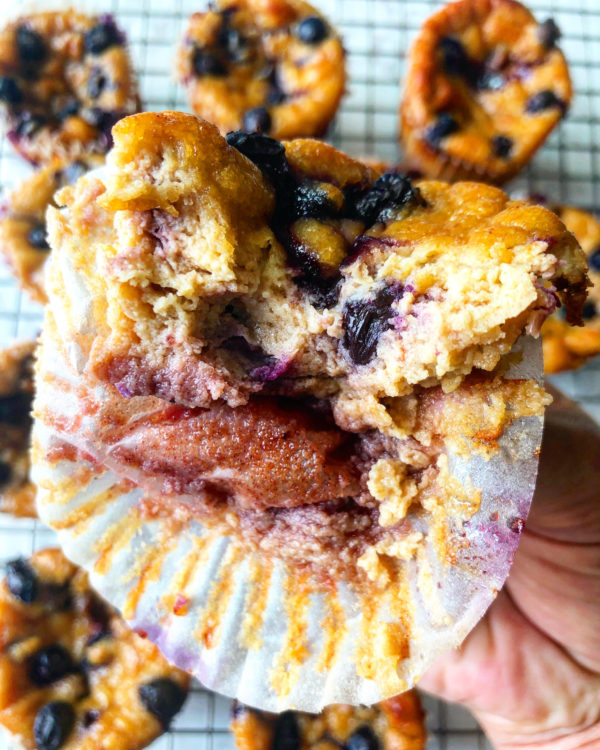 Animal-Based Flourless Lemon Blueberry Muffins - Ash Eats