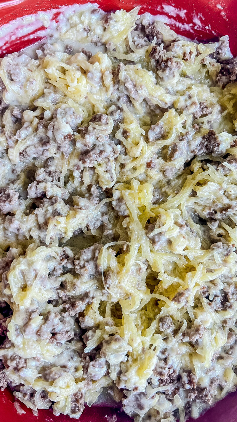 Beef Alfredo with Spaghetti Squash Noodles (Animal-Based)