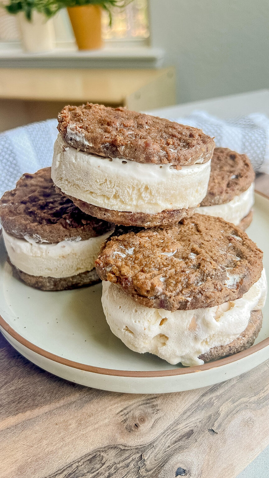 Animal-Based Ice Cream Sandwiches - Ash Eats